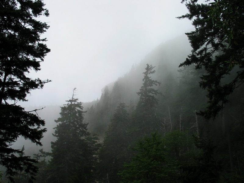 Misty View Of Cliff Top From Below - 1