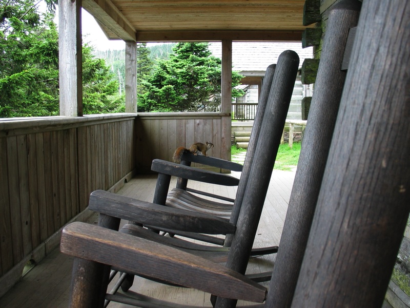 Porch Squirrel And Chairs