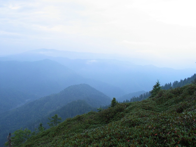 Post Sunrise View From Myrtle Point - 5