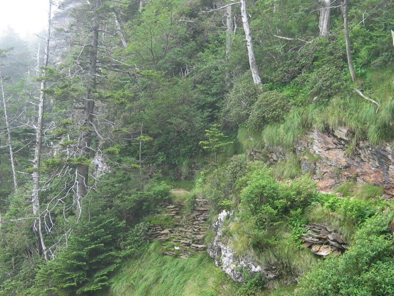 Rocky Trail - Closeup