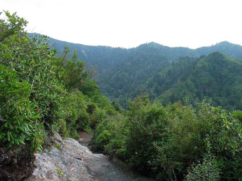 View From Inspiration Point - Back Down The Trail