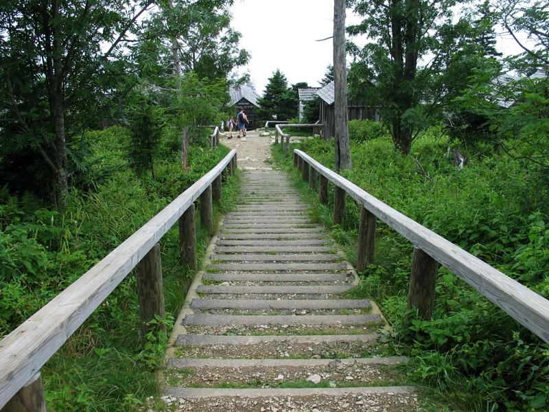 Walkway To The Lodge