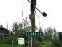 thumbnail of "Llama Lane"