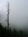 thumbnail of "Misty Mountain View"