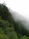 thumbnail of "Misty Mountain View 1"