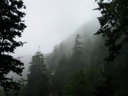thumbnail of "Misty View Of Cliff Top From Below - 1"