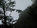thumbnail of "Misty View Of Cliff Top From Below - 3"