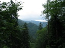 thumbnail of "Mountains Through The Trees"