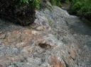 thumbnail of "Squirrel At Inspiration Point"