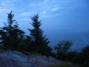 thumbnail of "Trees At Myrtle Point"