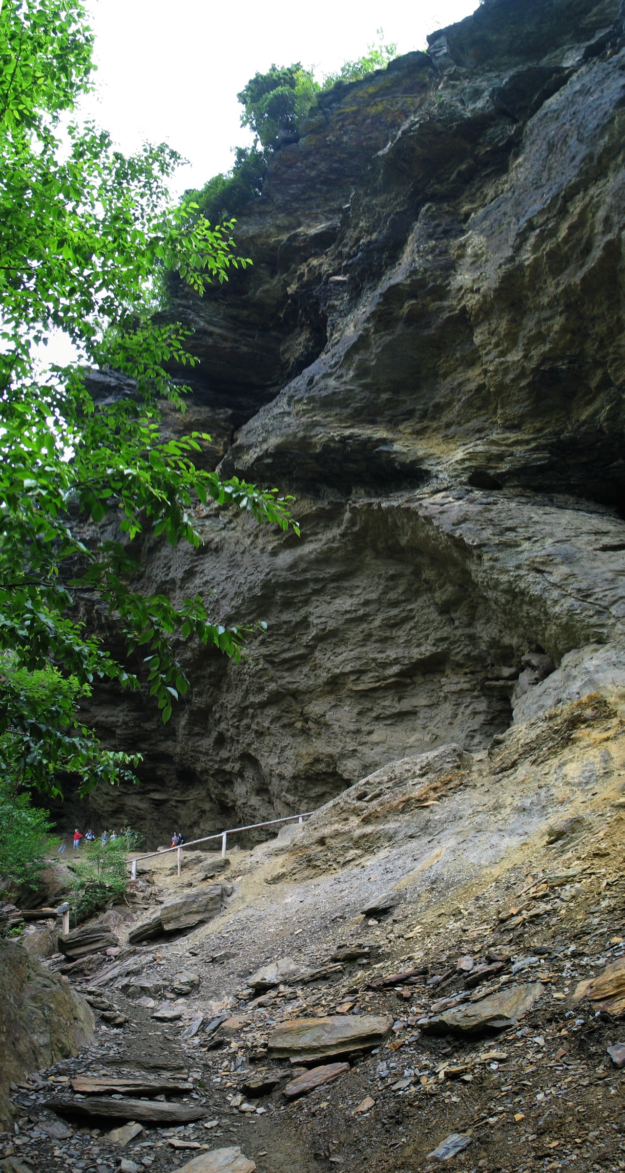Alum Cave Bluffs- From Below 1