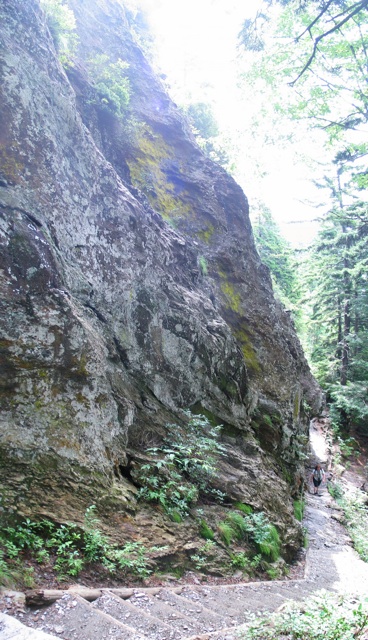 thumbnail of "Steps To Alum Cave Bluffs"