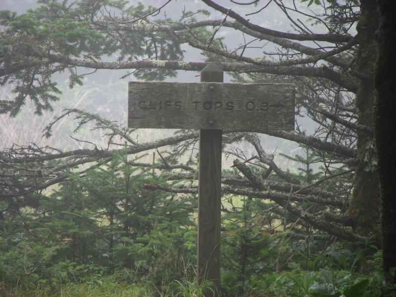 Cliff Top Sign