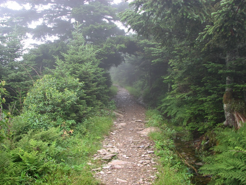 Cliff Top Trail - 2