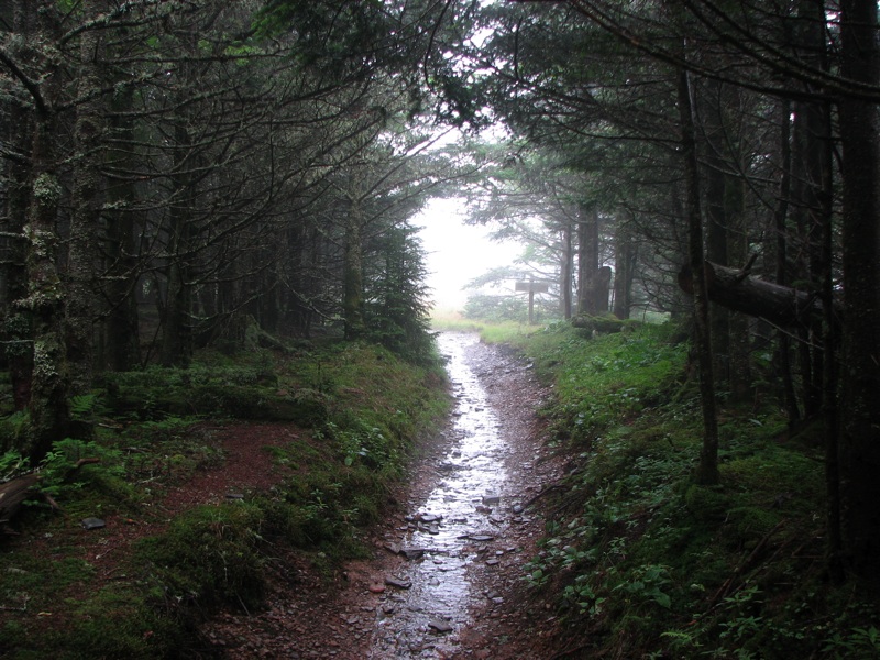 Cliff Top Trail - 5