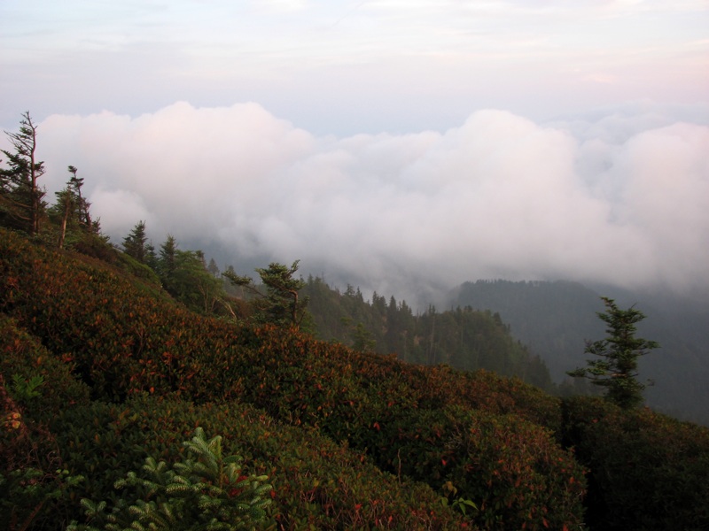 Foggy Mountains