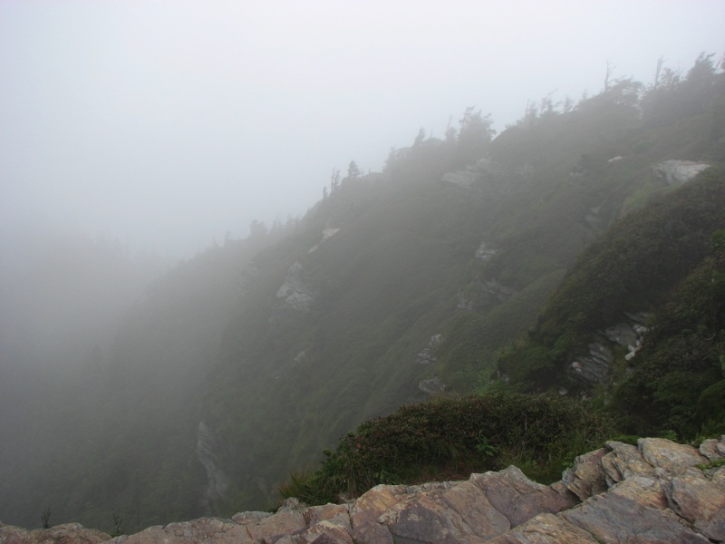 Foggy View From Cliff Top - 1