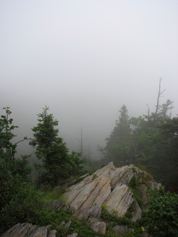 Foggy View Near Cliff Top