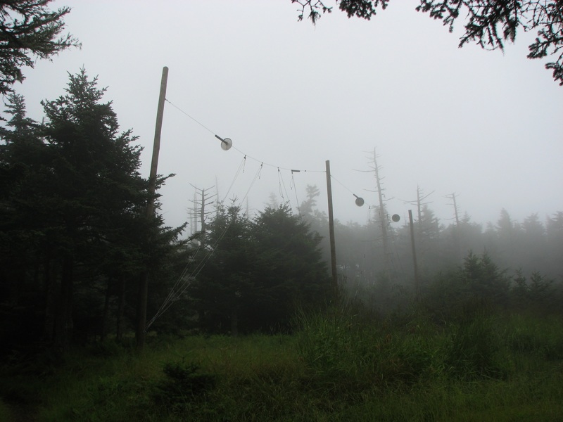 Hiking Shelter Food Protection