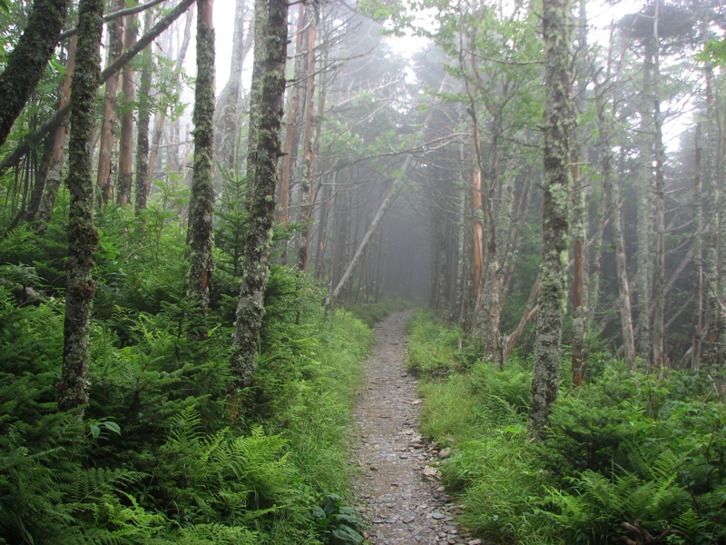 Misty Alum Cave Trail - 3