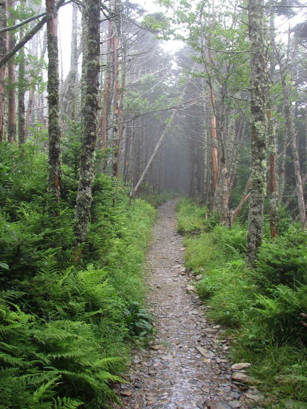 Misty Alum Cave Trail - 4