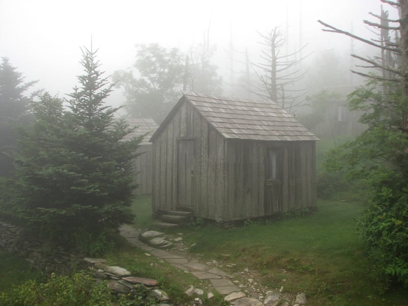 Misty Cabin