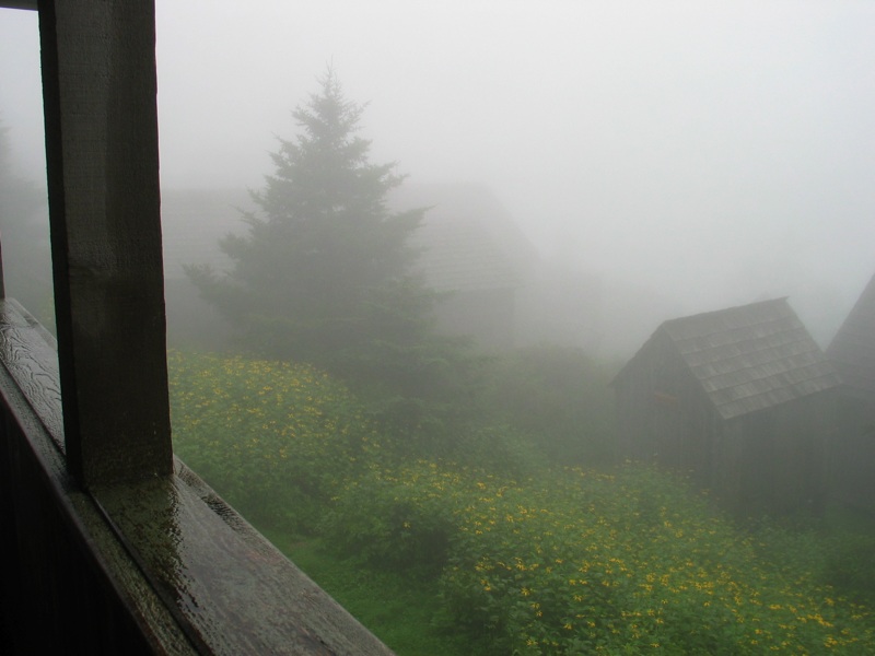 Misty Morning Cabins