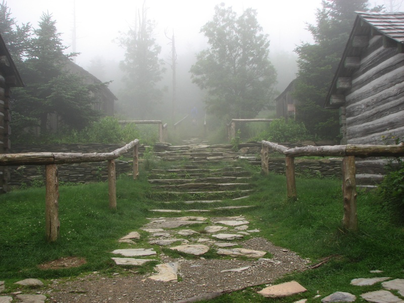 Misty Path Away From The Lodge