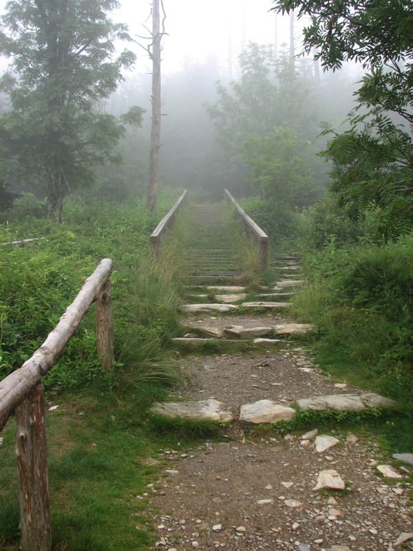 Misty Steps