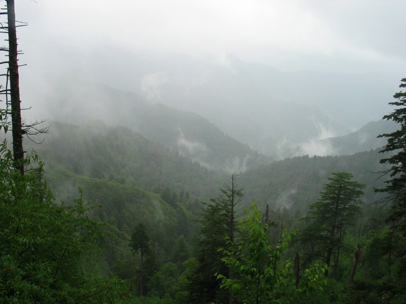 View From The Alum Cave Bluffs Trail - 1