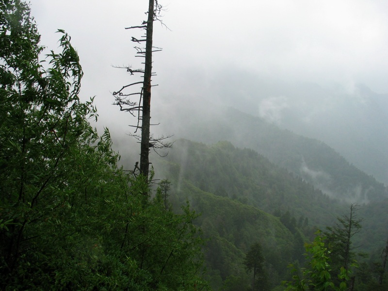 View From The Alum Cave Bluffs Trail - 2