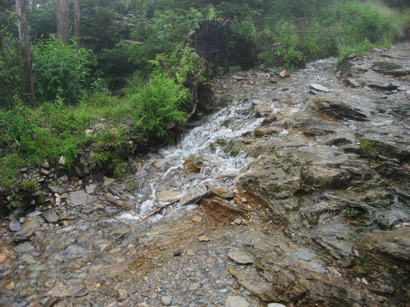 Wet Alum Cave Bluffs Trail - 1