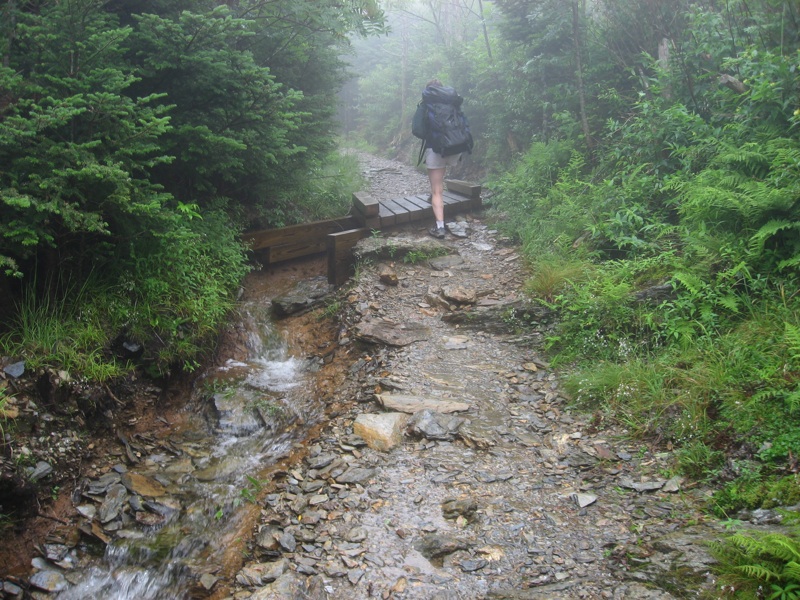 Wet Alum Cave Bluffs Trail - 3