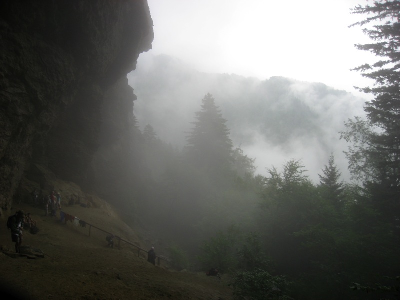 Wet And Foggy Alum Cave Bluffs - 1