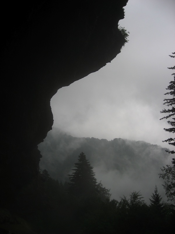 Wet And Foggy Alum Cave Bluffs - 2