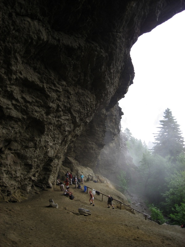 Wet And Foggy Alum Cave Bluffs - 4