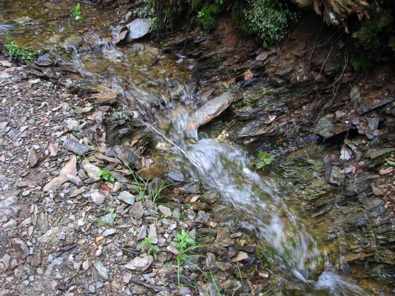 Wet Trail - 2