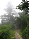 thumbnail of "Cliff Top Trail - 1"