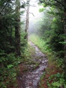 thumbnail of "Cliff Top Trail - 10"