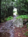 thumbnail of "Cliff Top Trail - 11"