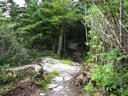 thumbnail of "Cliff Top Trail - 14"