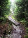 thumbnail of "Cliff Top Trail - 15"