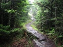 thumbnail of "Cliff Top Trail - 16"