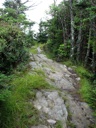 thumbnail of "Cliff Top Trail - 17"