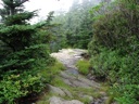 thumbnail of "Cliff Top Trail - 18"