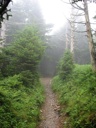 thumbnail of "Cliff Top Trail - 3"