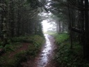 thumbnail of "Cliff Top Trail - 5"