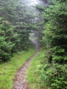 thumbnail of "Cliff Top Trail - 6"