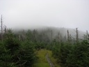 thumbnail of "Cliff Top Trail - 8"