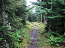 thumbnail of "Cliff Top Trail - 9"